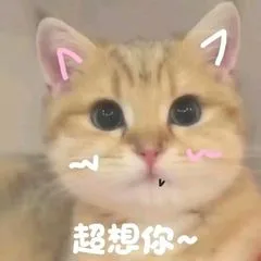 超想你~（超想你~）