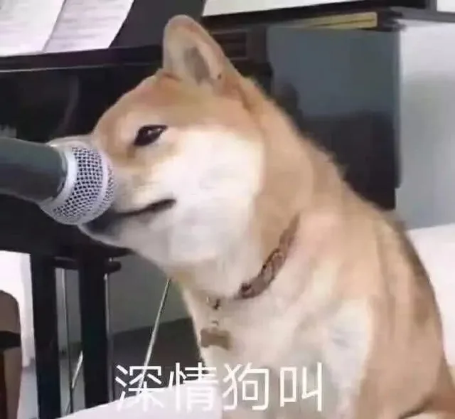 深情狗叫（深情狗叫）