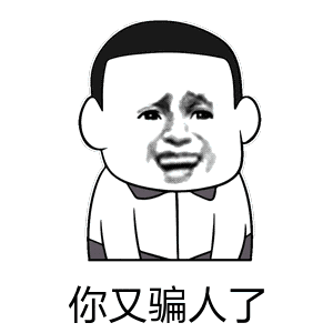 你又骗人了（你又骗人了）