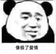 像极了爱情（像极了爱情）