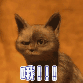 哦（哦）