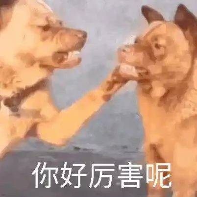 你好厉害呢（你好厉害呢）