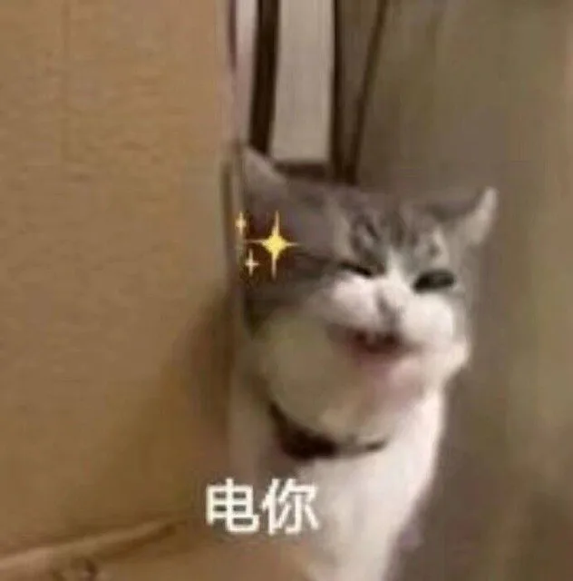 电你（电你）