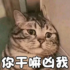 你王嘛凶我（你王嘛凶我）