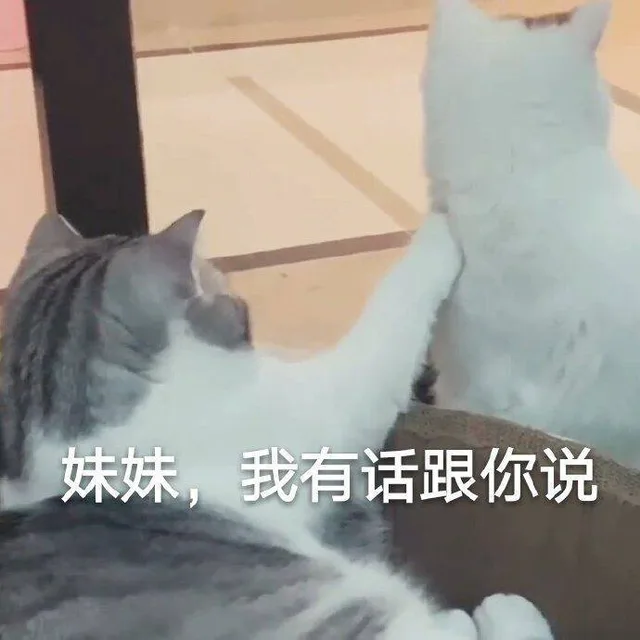 妹妹，我有话跟你说（妹妹，我有话跟你说）
