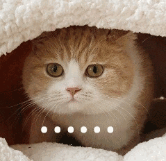 小猫无语（小猫无语）