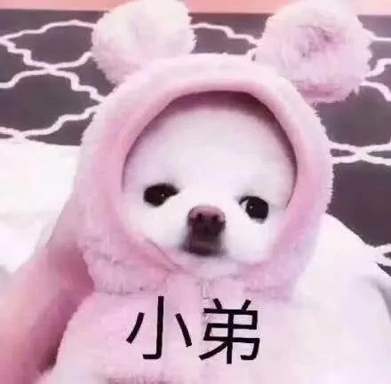 小弟（小弟）