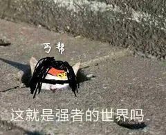 这就是强者的世界吗（这就是强者的世界吗）