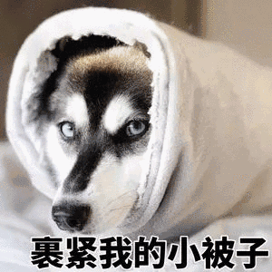 裹紧我的小被子（裹紧我的小被子）