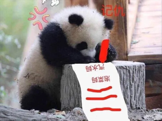 记仇（记仇）