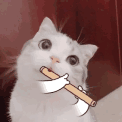 吹笛子小猫（吹笛子小猫）