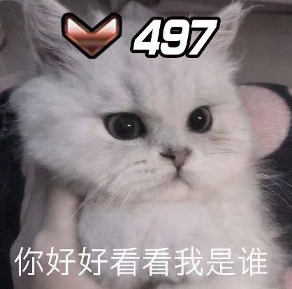 你好好看看我是谁（你好好看看我是谁）