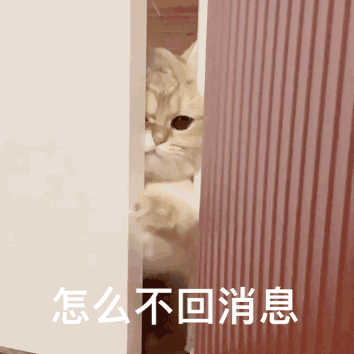 怎么不回消息（怎么不回消息）