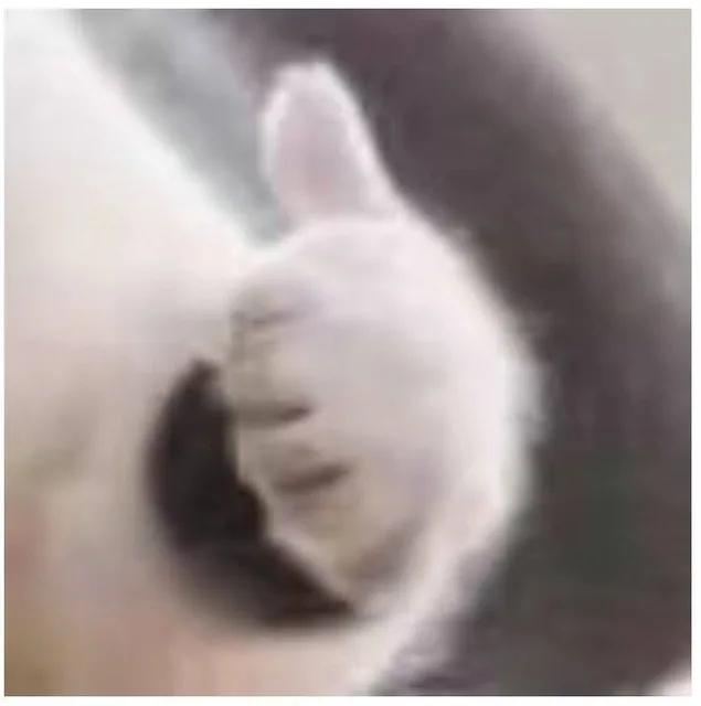 点赞哟（点赞哟）