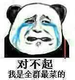 对不起，我是全群最菜的！（熊猫人哭了）（对不起，我是全群最菜的！（熊猫人哭了））