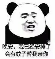 晚安，我已经安排了会有蚊子替我亲你（晚安，我已经安排了会有蚊子替我亲你）