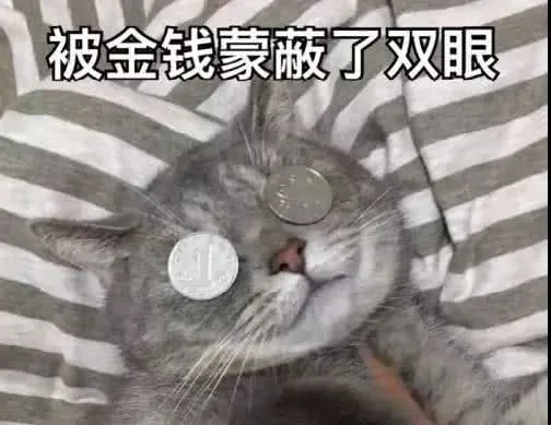 被釜钱蒙蔽了双眼（被釜钱蒙蔽了双眼）
