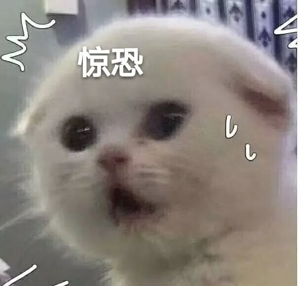 惊恐（惊恐）