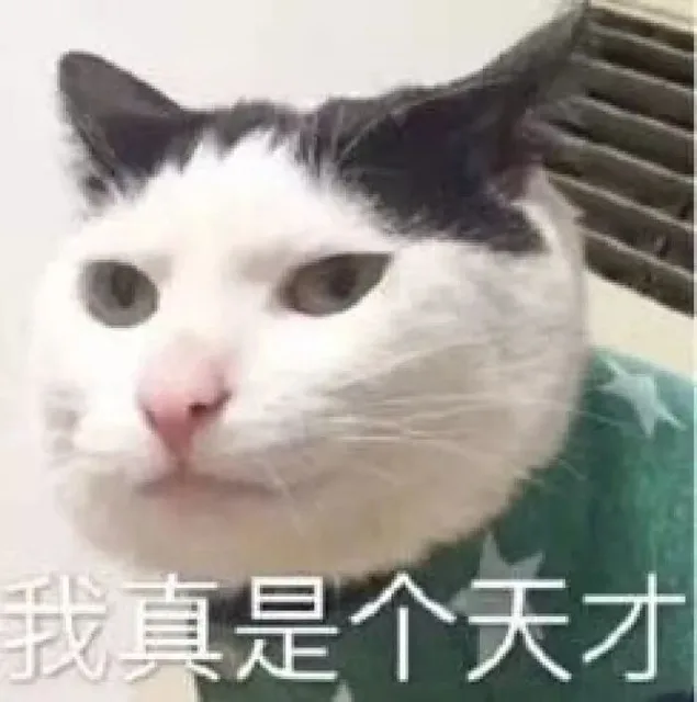是个天才（是个天才）