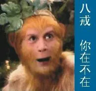 八戒，你在不在（八戒，你在不在）