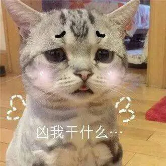凶我干什么？（凶我干什么？）