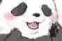 不熊猫（不熊猫）