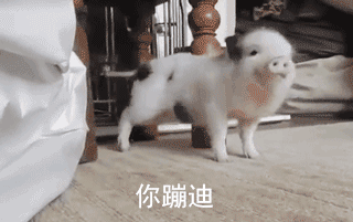 你蹦迪（你蹦迪）