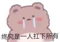 终究是一人扛下所有（终究是一人扛下所有）