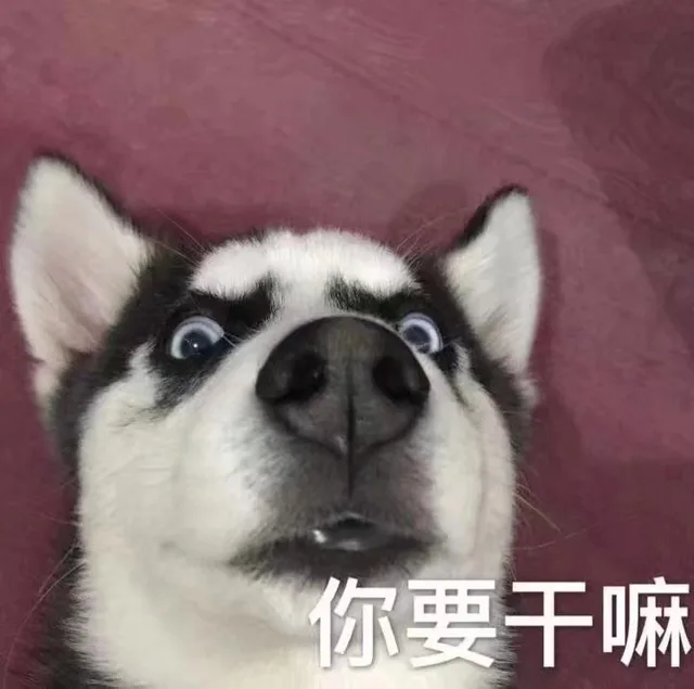 你想干嘛（你想干嘛）