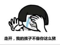 走开，我的孩子不像你这么猪（走开，我的孩子不像你这么猪）