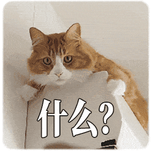 什么（什么）