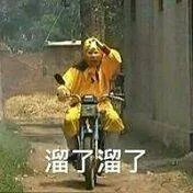溜了溜了（溜了溜了）