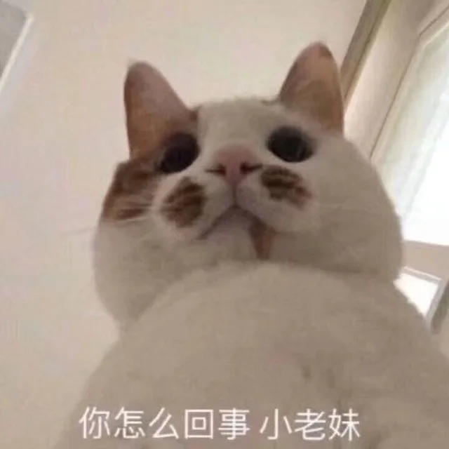 你怎么回事小老妹（你怎么回事小老妹）