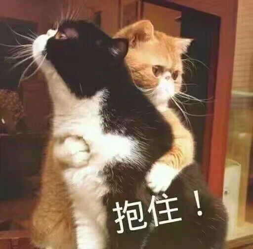 抱住（抱住）