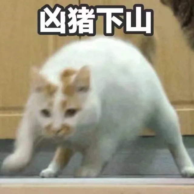 凶猪下山（凶猪下山）