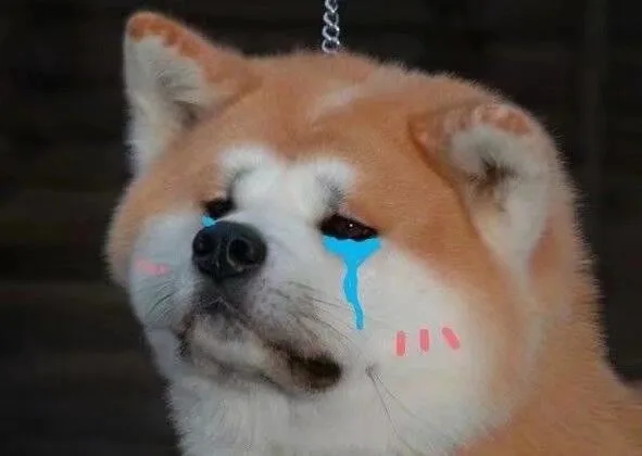 狗狗哭了（狗狗哭了）
