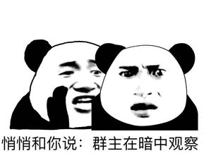 悄悄和你说，群主在暗中观察（悄悄和你说，群主在暗中观察）