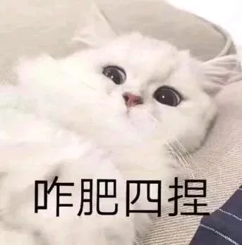 咋肥四捏（咋肥四捏）