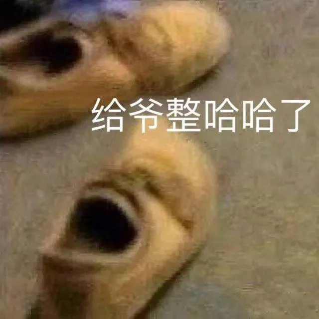 给爷整哈哈了（给爷整哈哈了）