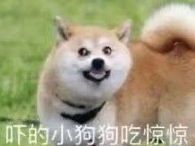 吓的小狗狗吃惊惊（吓的小狗狗吃惊惊）