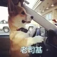 老司基（老司基）