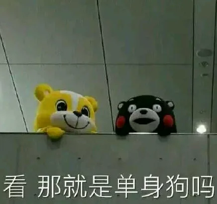 看，那就是单身狗吗（看，那就是单身狗吗）