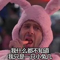 我什么都不知道，我只是只小兔几（我什么都不知道，我只是只小兔几）