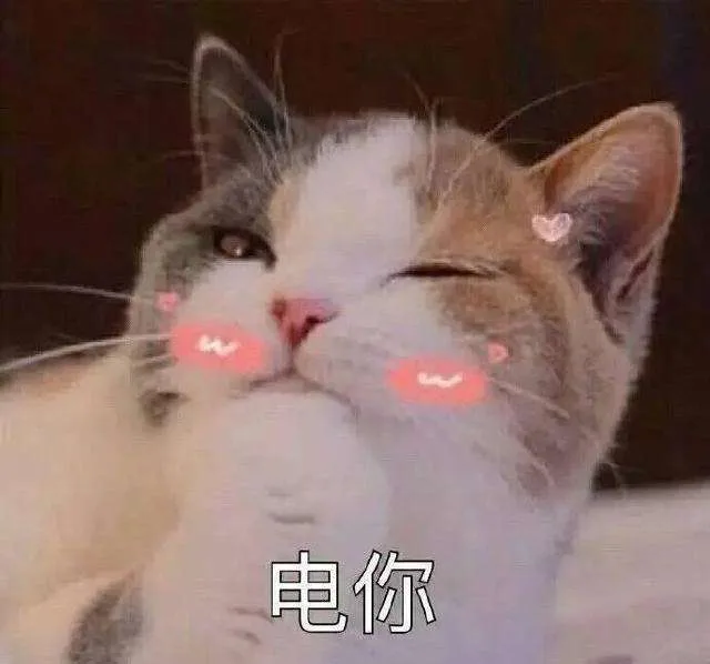 电你（电你）