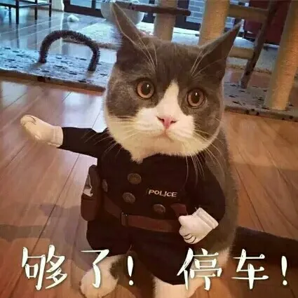 够了！停车！（够了！停车！）