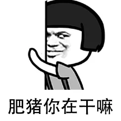 肥猪你在干嘛（肥猪你在干嘛）