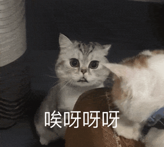 唉呀呀呀（唉呀呀呀）