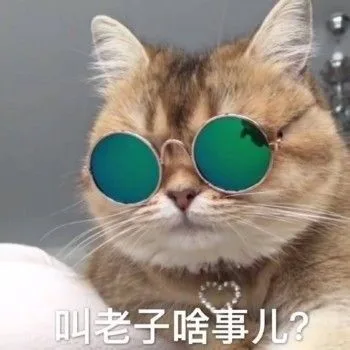 叫老子啥事儿（叫老子啥事儿）