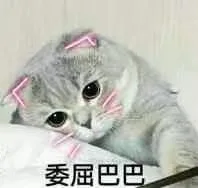 委屈巴巴（委屈巴巴）