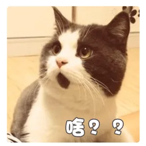 啥？（啥？）